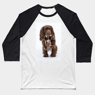 Snowy Sussex Baseball T-Shirt